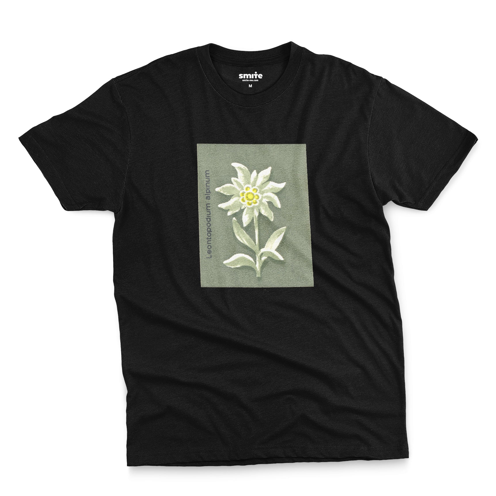 Edelweiss