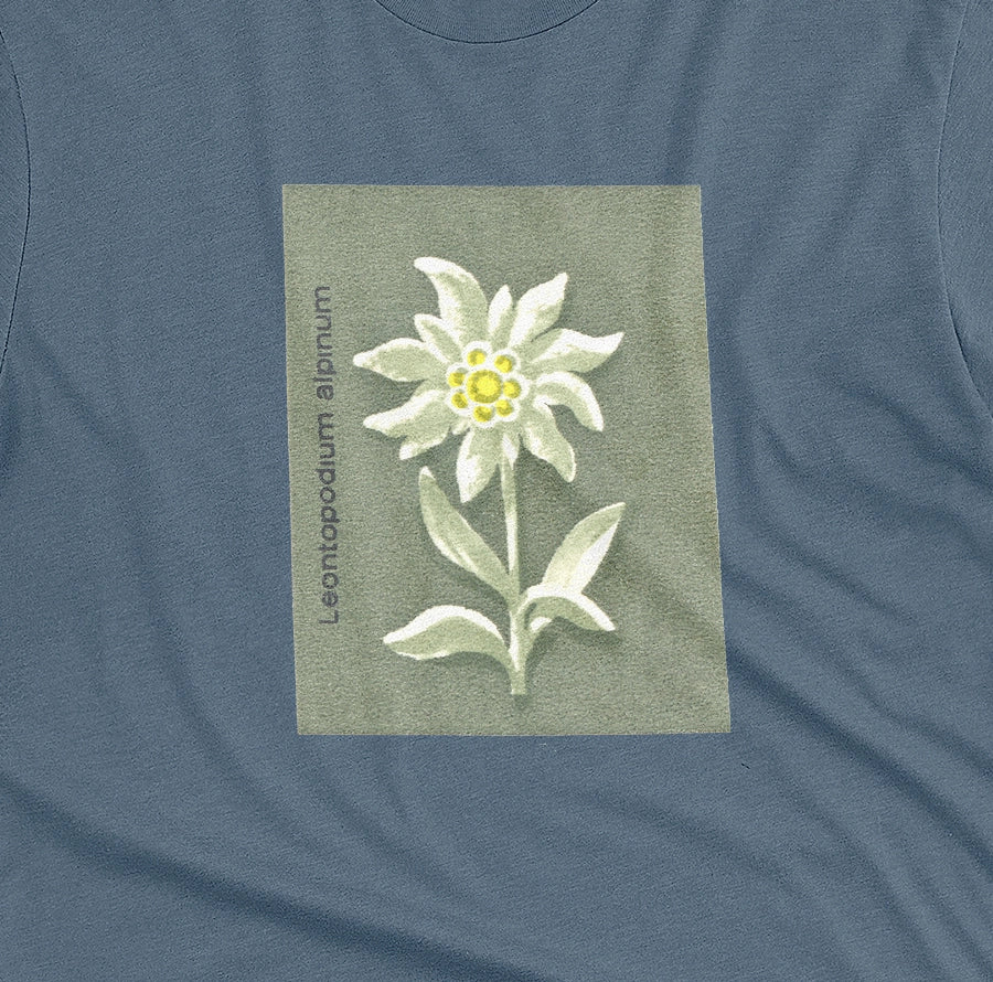 A blue t-shirt featuring a retro illustration of an Edelweiss flower from a 1960s European matchbook.