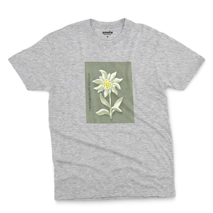 Edelweiss