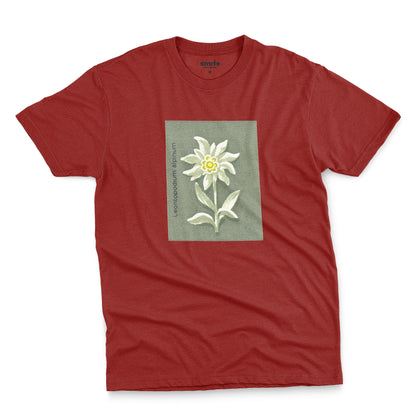 Edelweiss