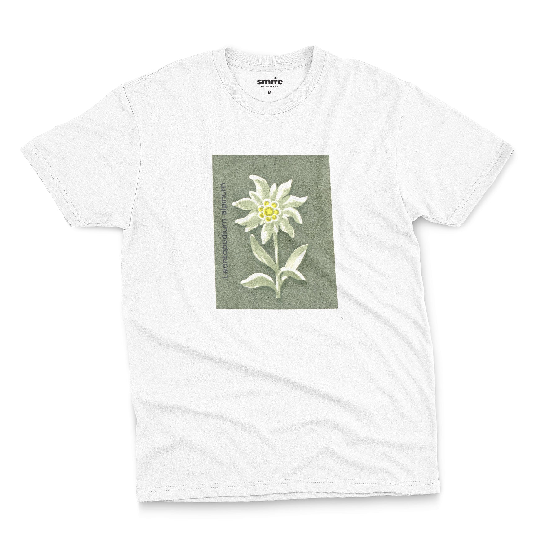 Edelweiss