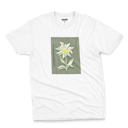 Edelweiss