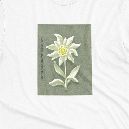 Edelweiss