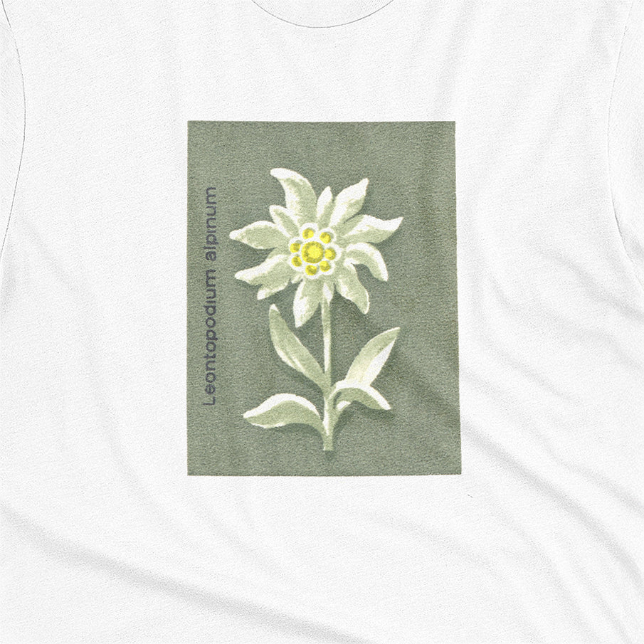 Edelweiss
